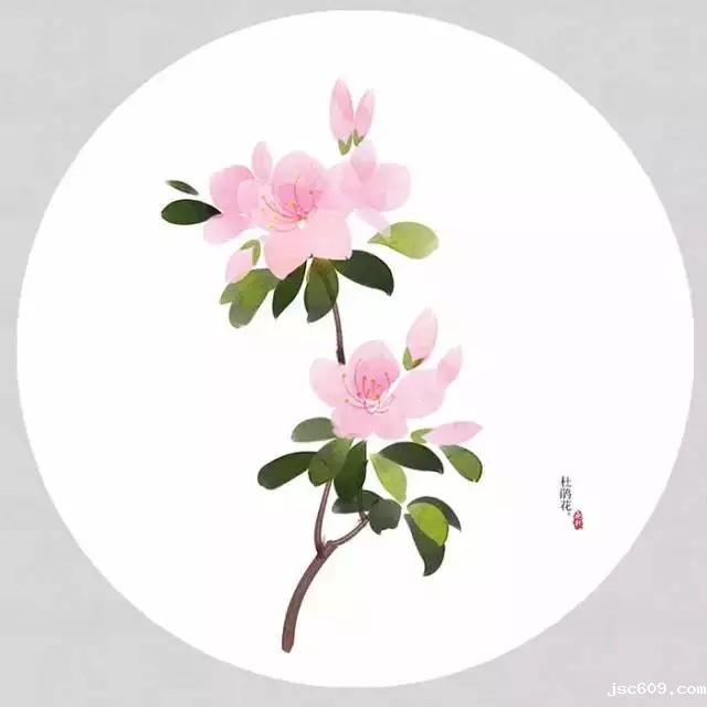 图片6.png