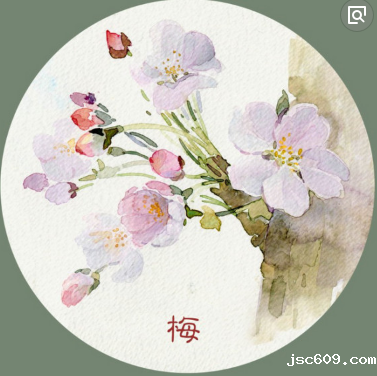 图片4.png